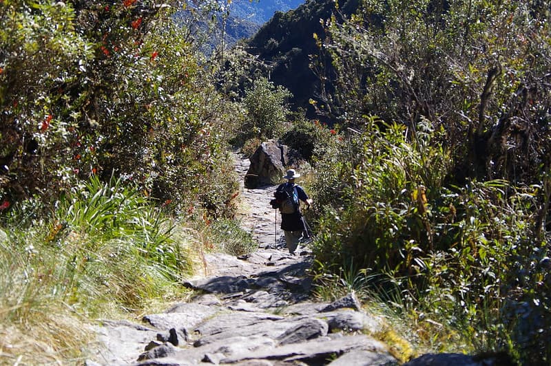 inca trail to Machu Picchu