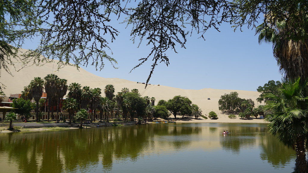 Best Things to do in Huacachina